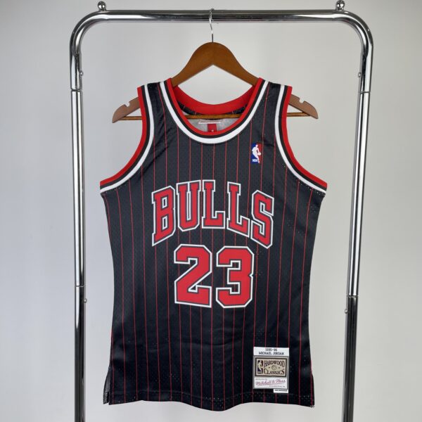 Chicaco Bulls 95/96