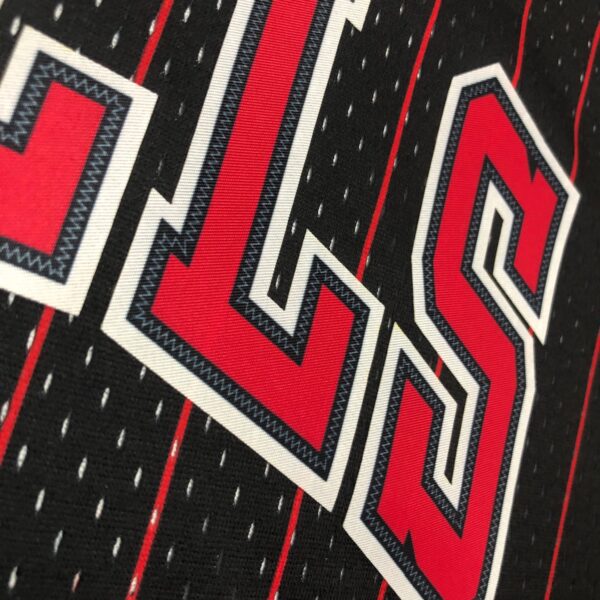 Chicaco Bulls 95/96 - Image 3